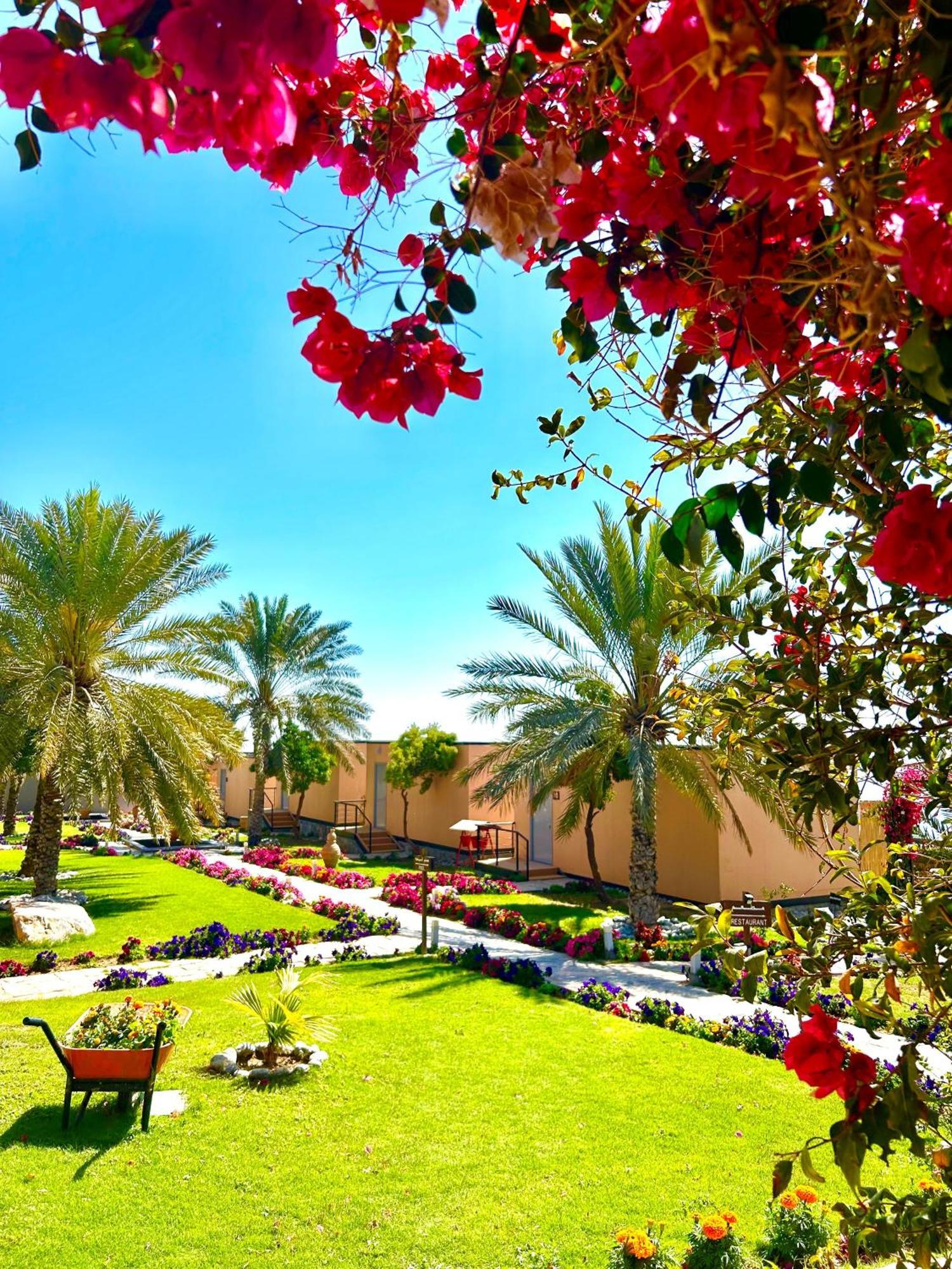 Hotel The View Al Ḩamrāʼ Exterior foto