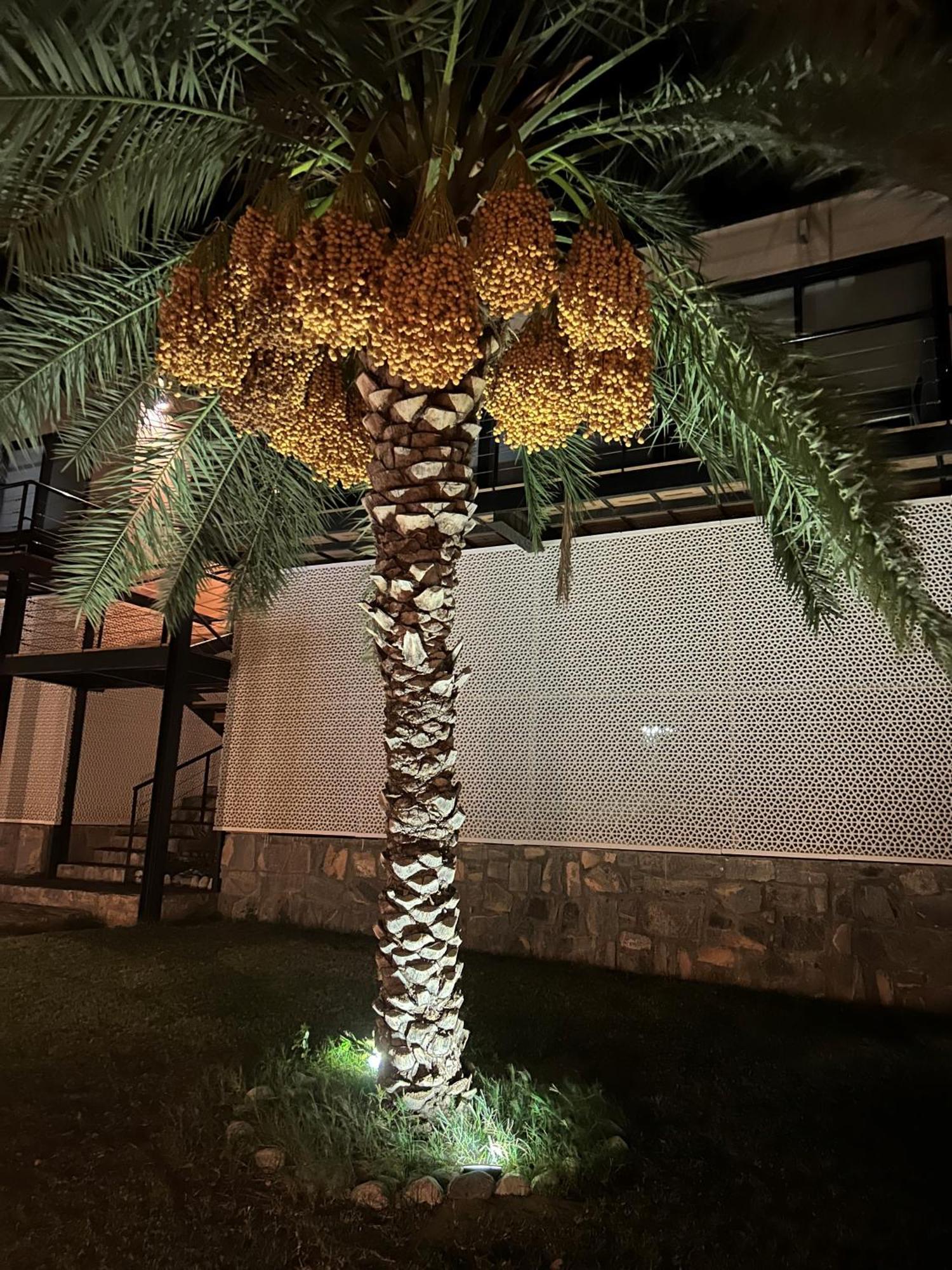 Hotel The View Al Ḩamrāʼ Exterior foto