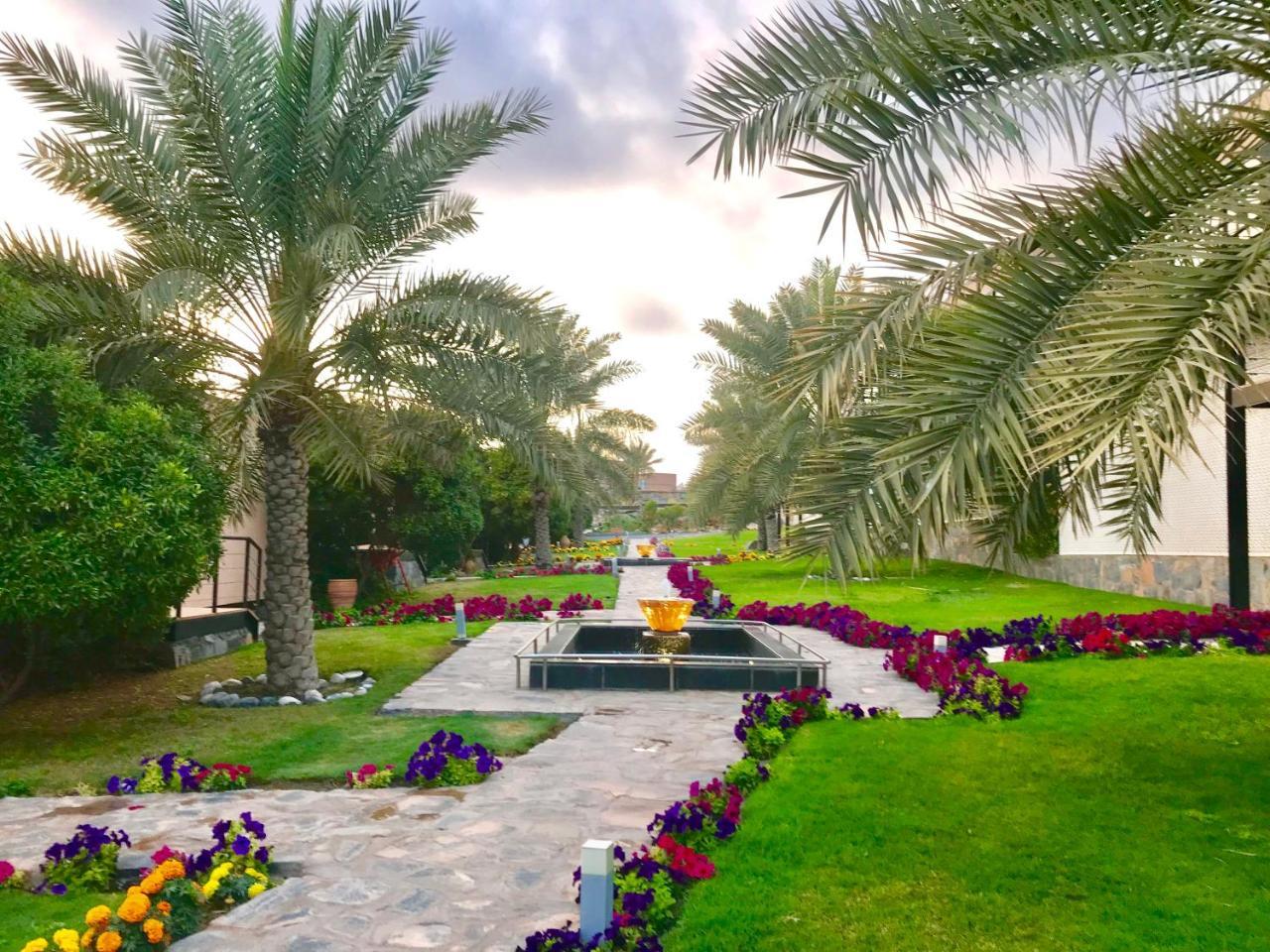 Hotel The View Al Ḩamrāʼ Exterior foto